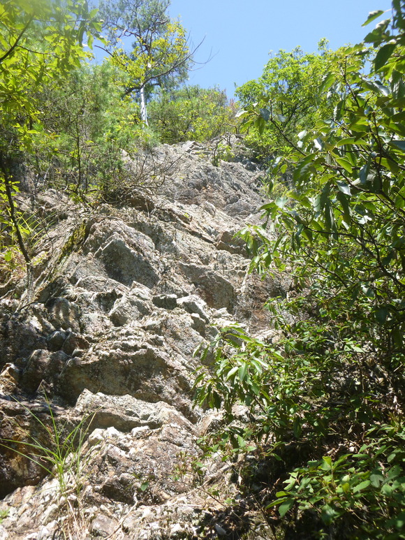 d0170615_1925278.jpg