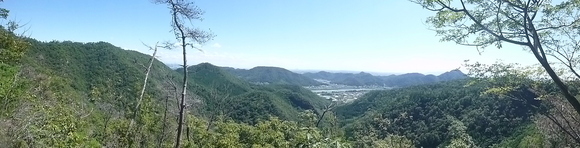 d0170615_193678.jpg