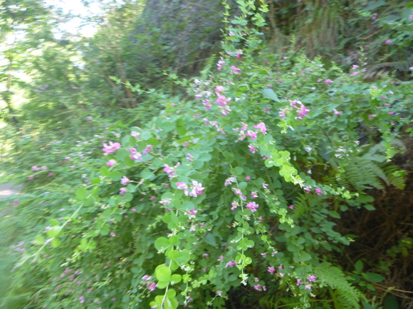 d0170615_194883.jpg