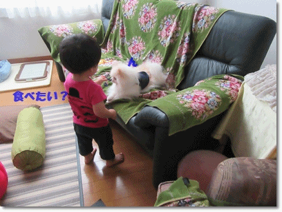 b0167519_035389.gif