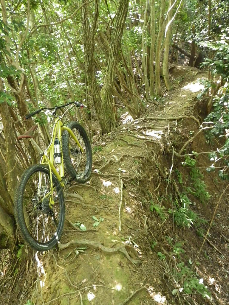 c0189724_13435931.jpg