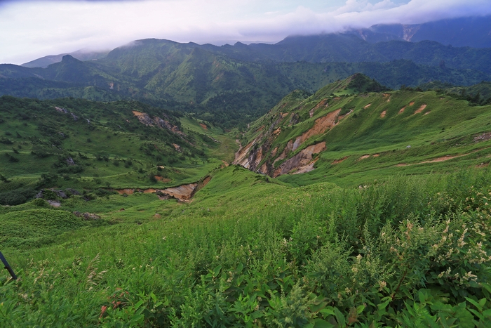 c0104227_171778.jpg