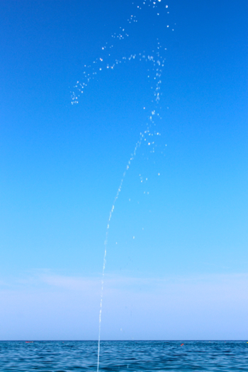 f0018027_8551687.jpg