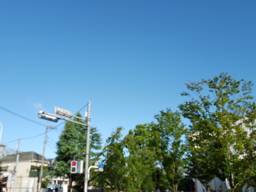 e0016828_12072502.jpg
