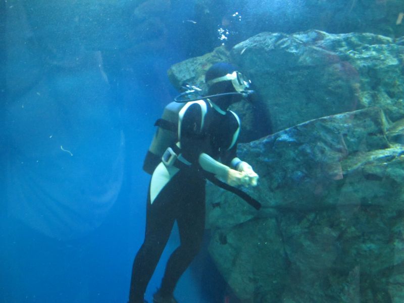 f0076731_20073345.jpg