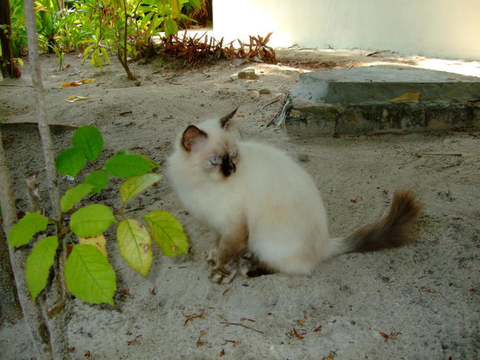 f0327233_21522484.jpg