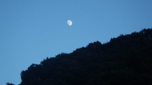 c0300035_9154550.jpg