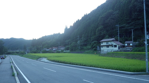 c0300035_916754.jpg