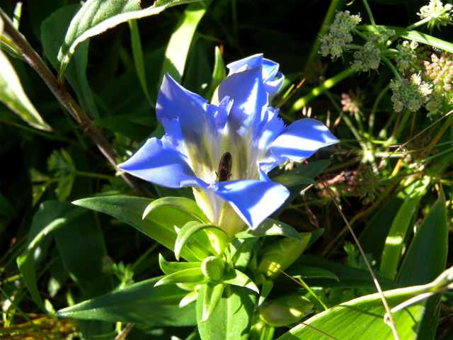 e0272335_2112543.jpg
