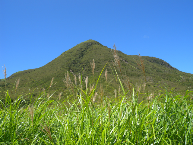 e0272335_2125689.jpg