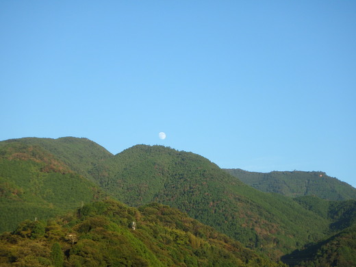 c0183137_2011226.jpg