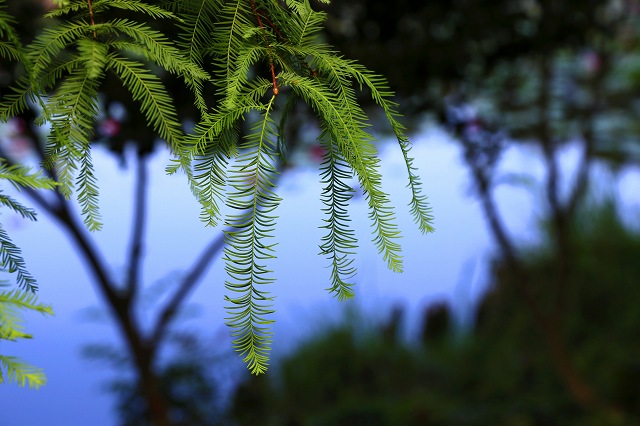 a0242438_1841547.jpg