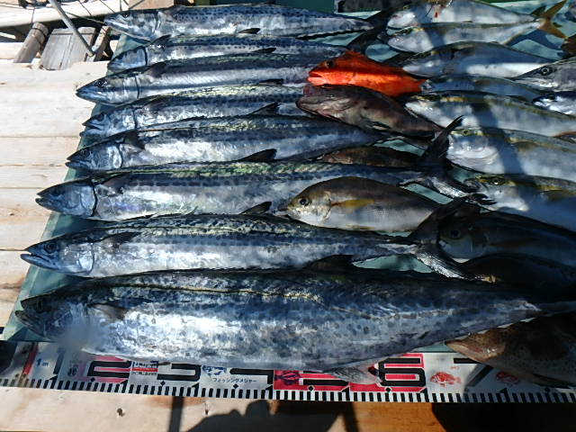 a0248152_17322969.jpg