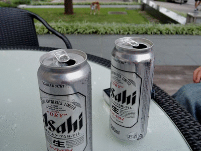 a0286855_6253120.gif