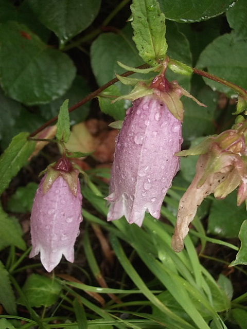 f0043559_10465474.jpg