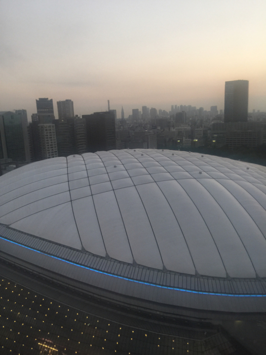 d0152261_11492540.jpg