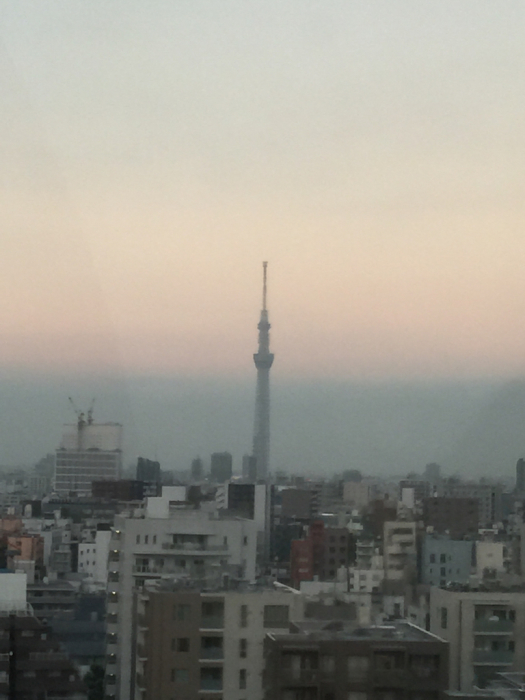 d0152261_11492564.jpg