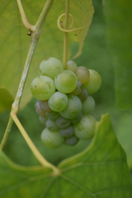 f0342371_643183.jpg