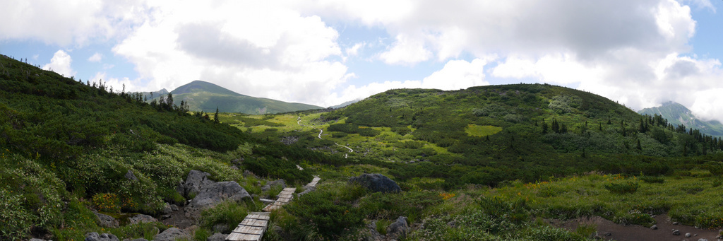 f0054075_13322533.jpg