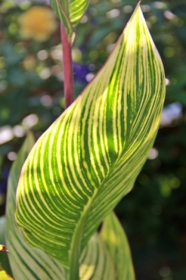 e0154682_20353147.jpg