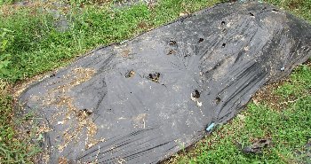 f0003283_02294316.jpg