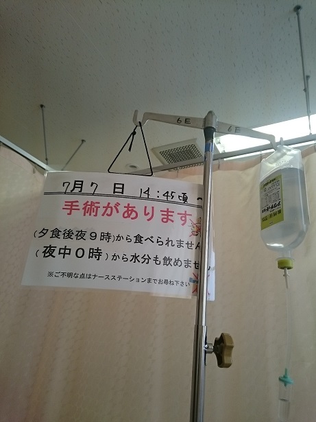 f0051283_15374864.jpg