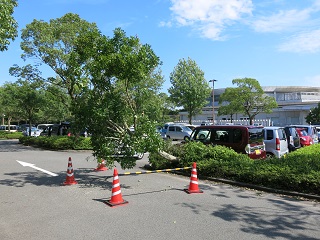 e0130185_17171855.jpg