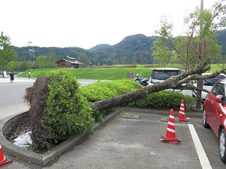 e0130185_171985.jpg