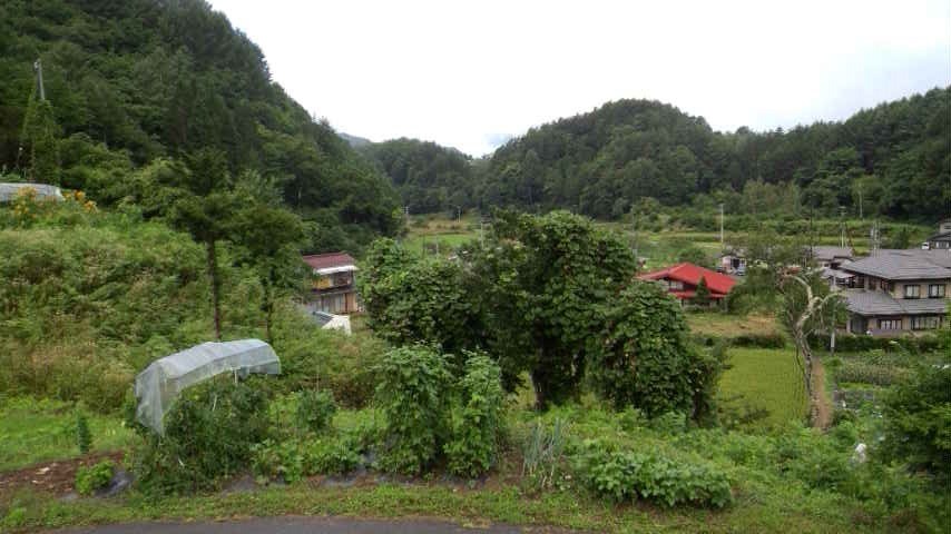 a0130586_8473410.jpg