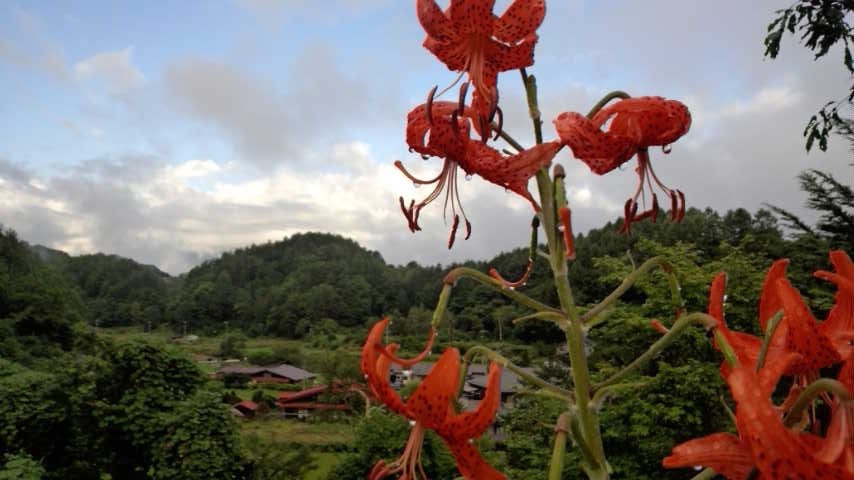 a0130586_8483237.jpg