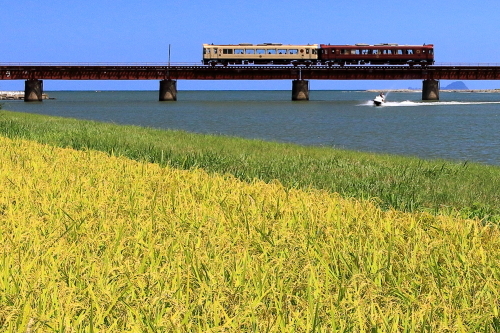 a0335890_13063709.jpg