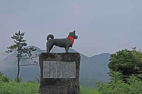 a0222494_20594785.jpg