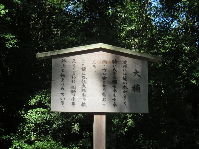 f0346196_16164175.jpg