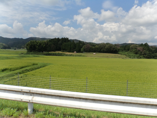 c0266004_163279.jpg