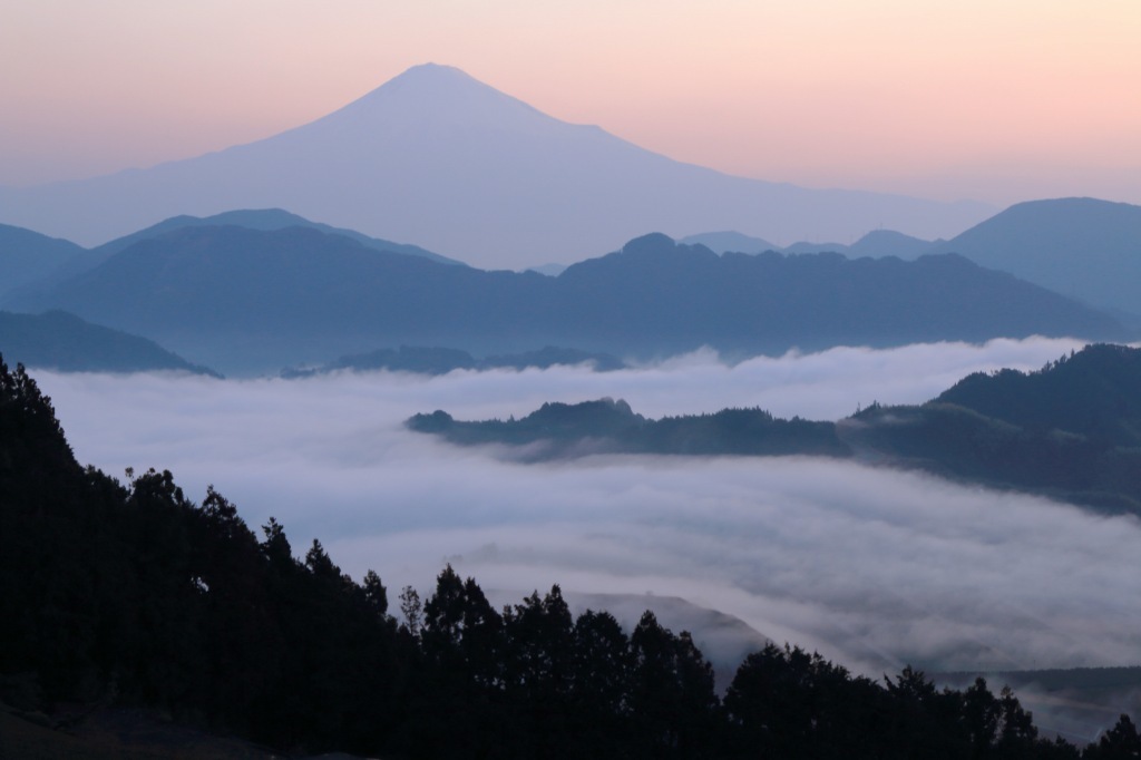a0188405_04310996.jpg