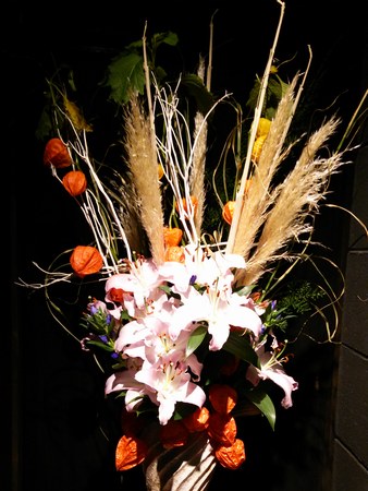 f0221708_1134141.jpg