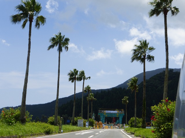 d0037110_217477.jpg