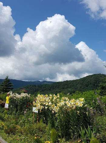 d0027711_1101951.jpg