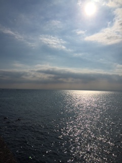 c0247314_10101282.jpg