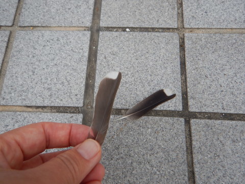 f0118332_20405832.jpg