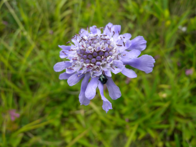 e0272335_5275316.jpg