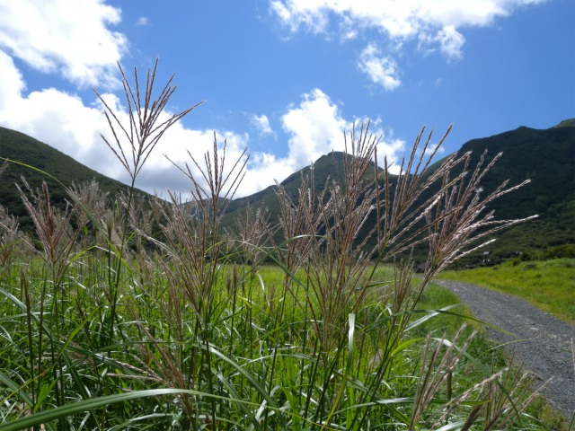 e0272335_56789.jpg