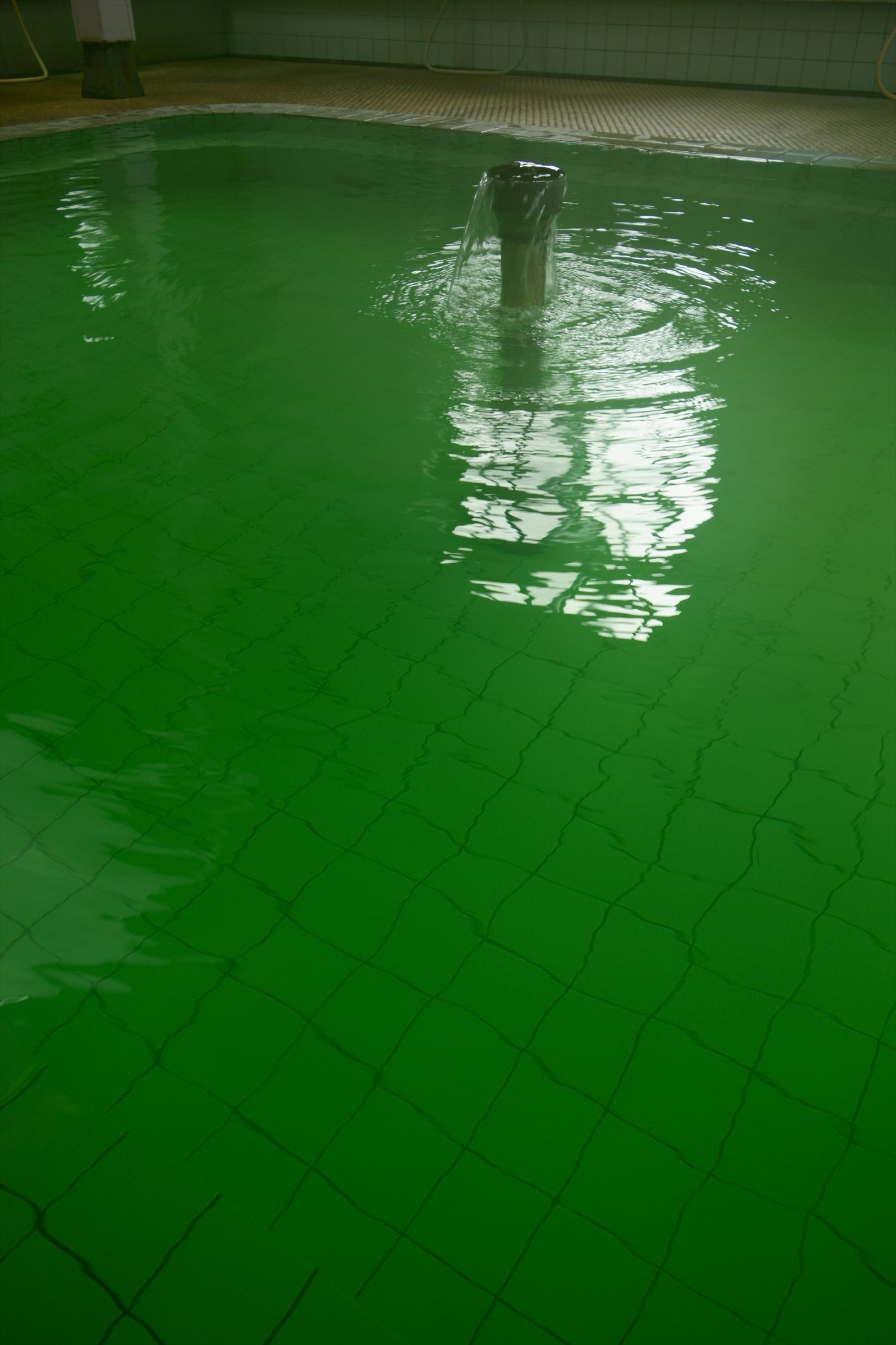 a0219537_21451684.jpg