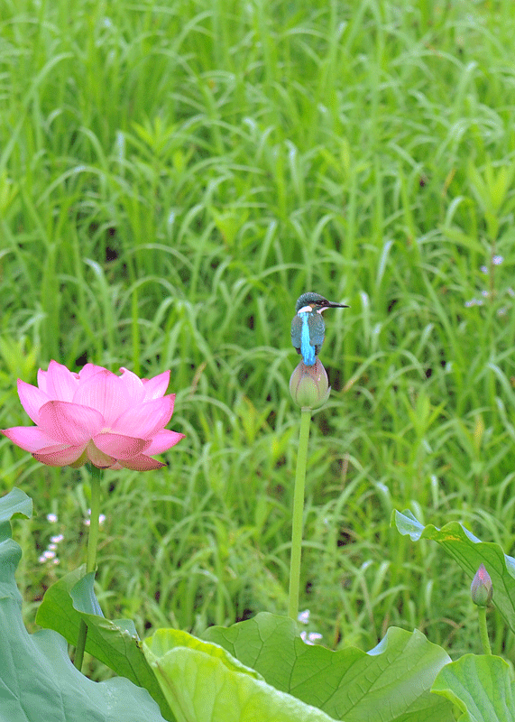 d0290240_07590645.gif