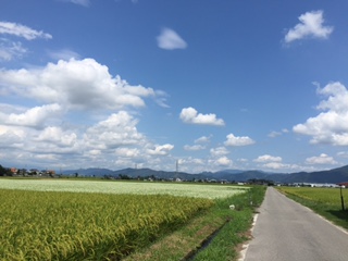 a0272241_20224055.jpg