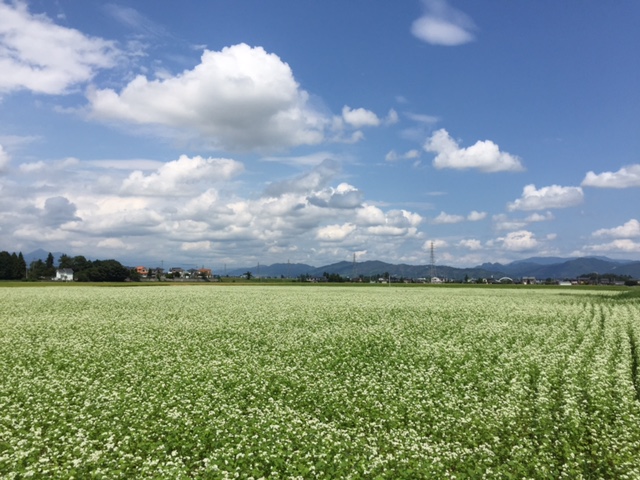 a0272241_20345618.jpg