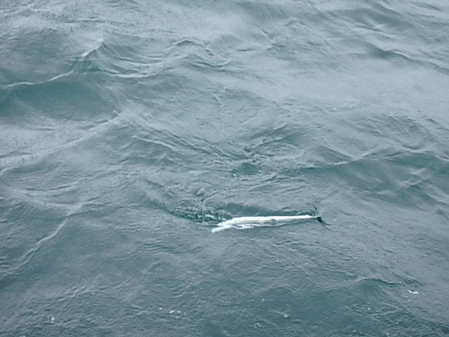 a0248152_1655037.jpg