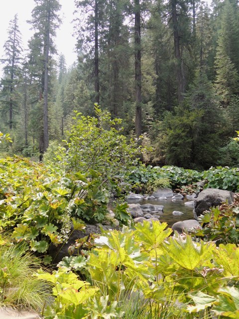b0173754_02211102.jpg