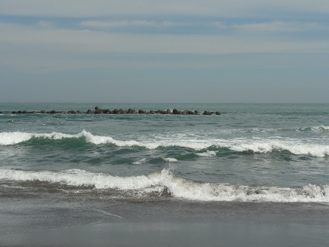 d0029363_16121024.jpg