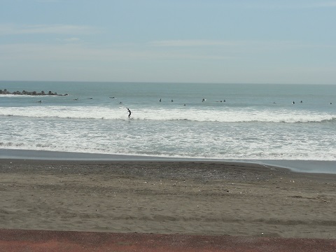 d0029363_1612176.jpg